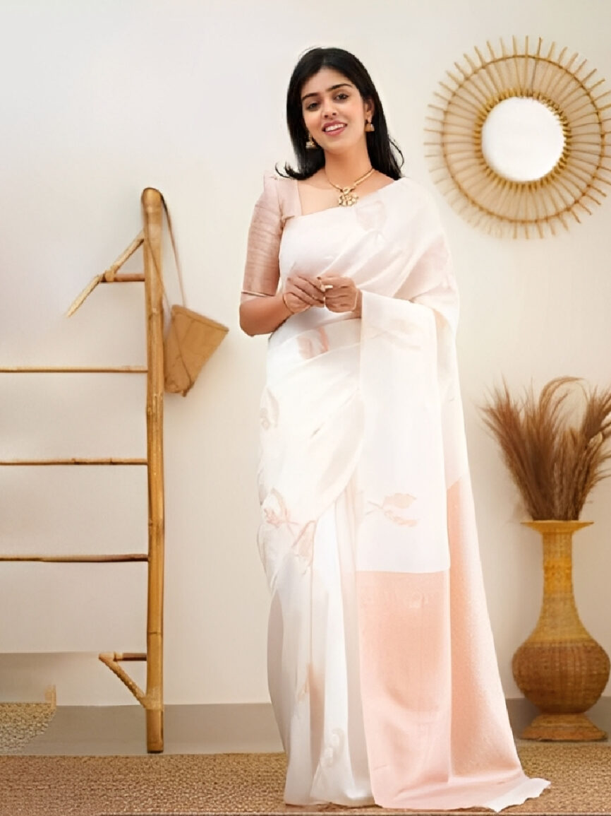 Woven banarasi saree